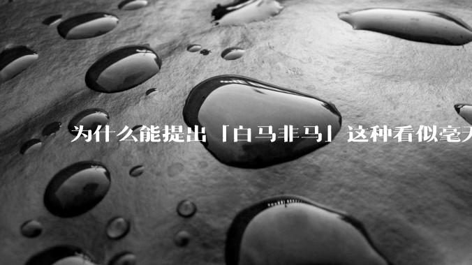 为什么能提出「白马非马」这种看似毫无逻辑的命题的公孙龙却也被称为逻辑学家？